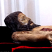 foto de semana santa